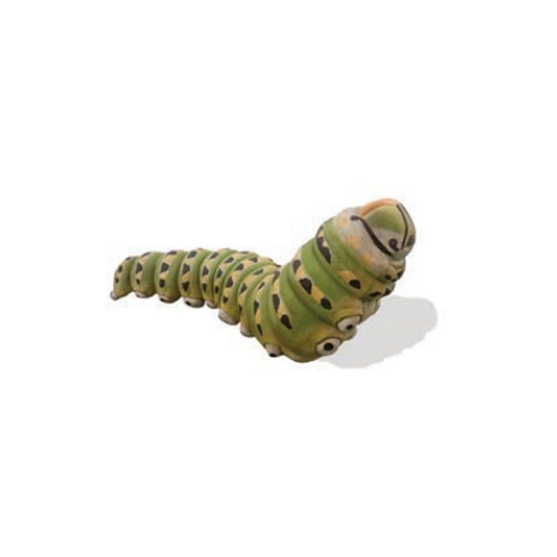 Caterpillar Anise