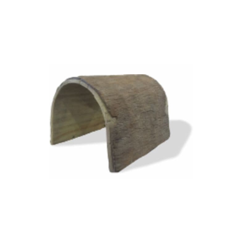 Hollow Log