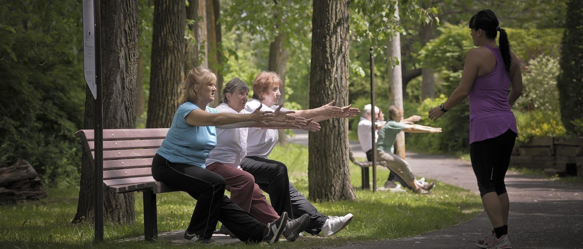 What are bench fitness or benchfit?