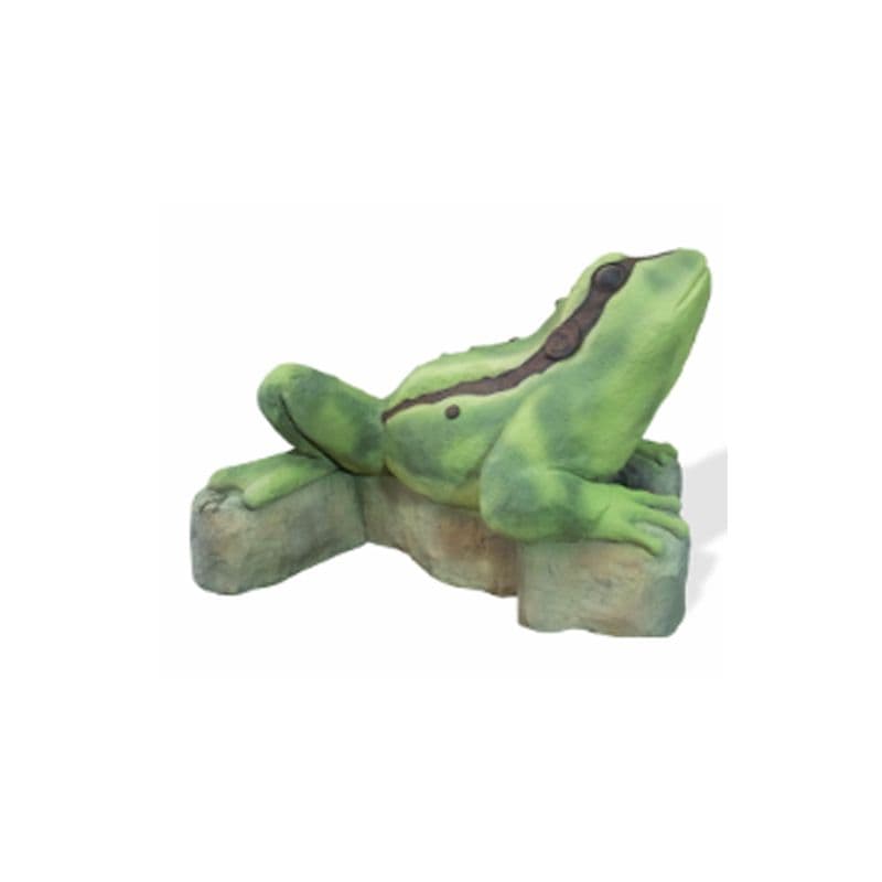Tree Frog