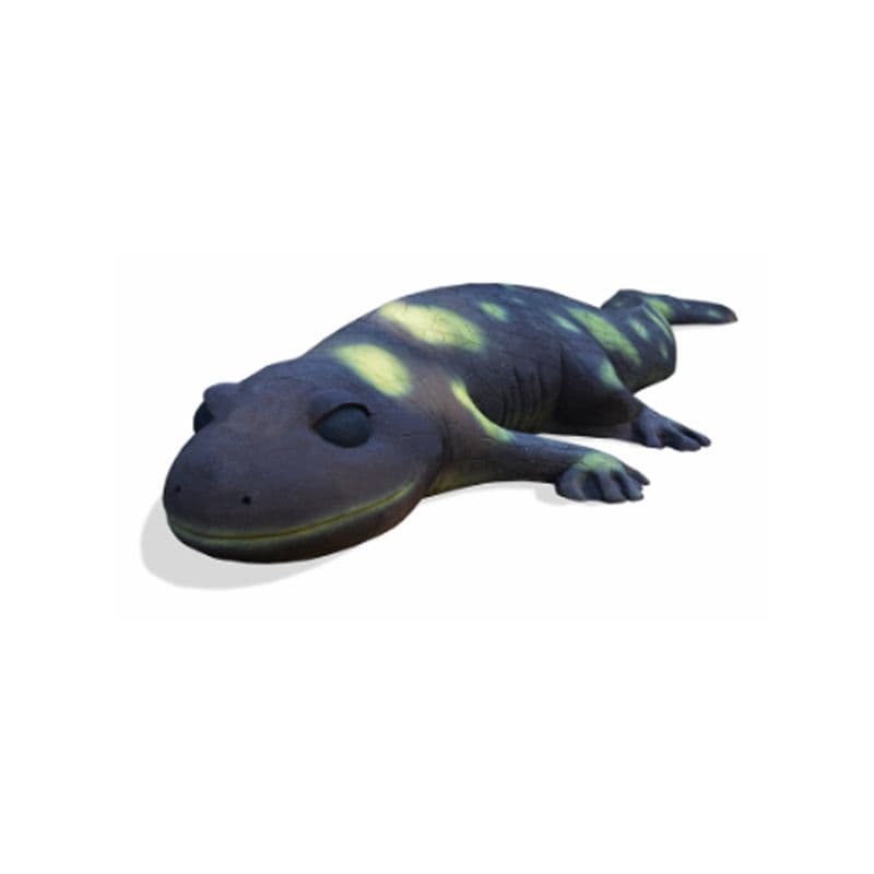 Salamander